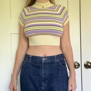 Aritzia Multicolor Striped Crop Top
